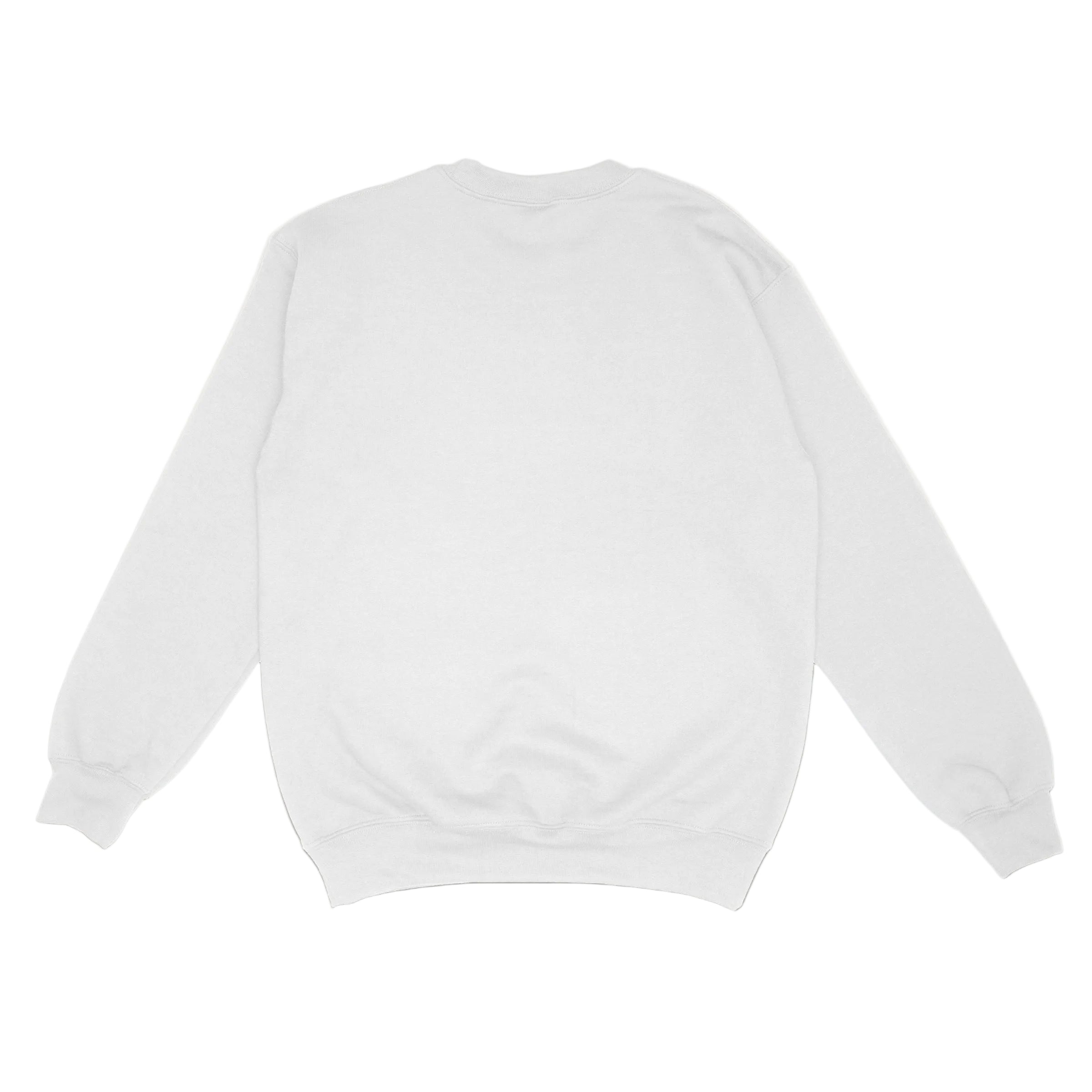 Garment-Dyed Crewneck Sweatshirt – Georges Marciano Ranch