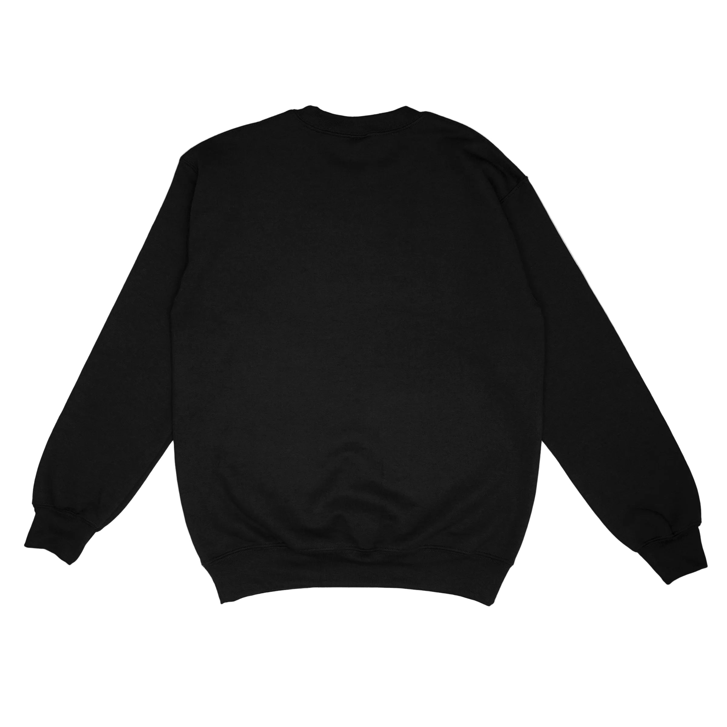 Garment-Dyed Crewneck Sweatshirt – Georges Marciano Ranch